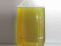 ���ֻ���