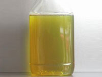 �ظ��ɹ�ҵ������